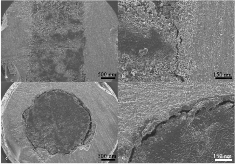 New Research: 3D Printed Bone Implants that Release Antibiotics