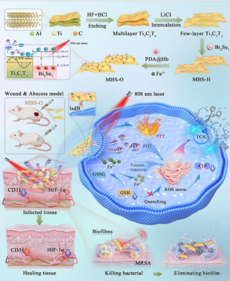 Self - Supplying Oxygen Bionic Nanomaterials Combat Drug - Resistant Bacteria